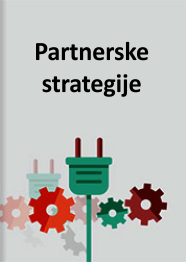Partnerske strategije
