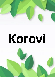 Korovi